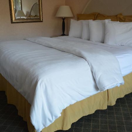 Chapel Hill University Inn 外观 照片