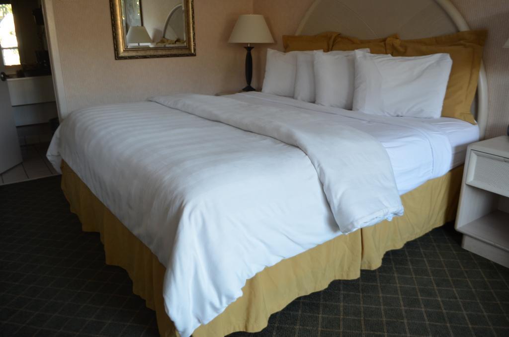 Chapel Hill University Inn 外观 照片