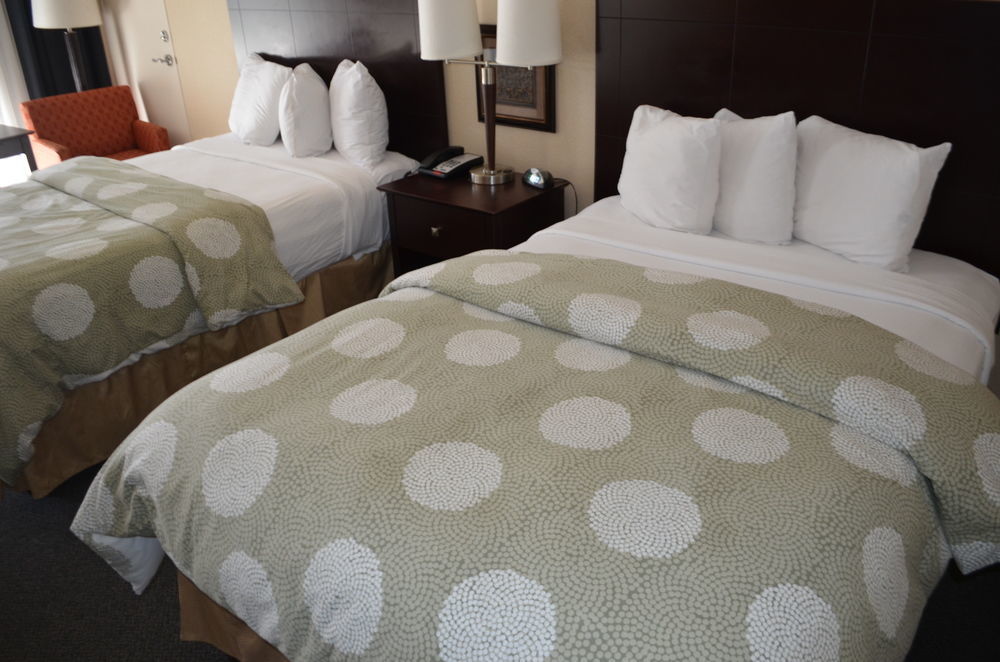 Chapel Hill University Inn 外观 照片